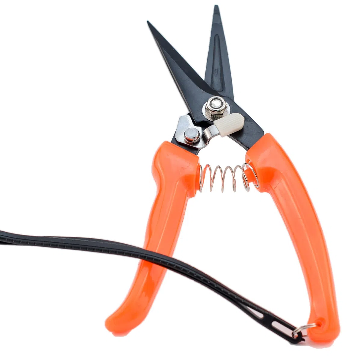 Pied Pourriture Cisailles Mouton Cheval Sabot Coupe Ciseaux Pied Rot Multi Usage en Acier Carbone Cisailles Jardin Sécateur 21 cm de long