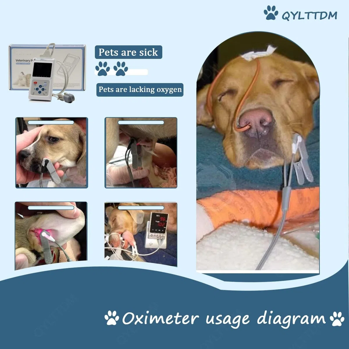 Oxymètre de pouls vétérinaire portable, moniteur de fréquence cardiaque, capteur auriculaire/lingual, avec sonde et câble USB, fonctions de stockage et de lecture