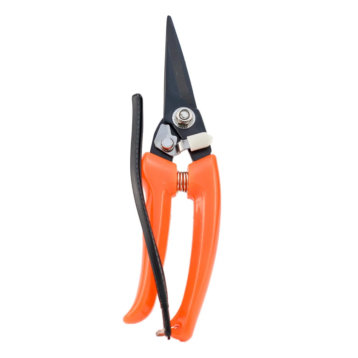 Pied Pourriture Cisailles Mouton Cheval Sabot Coupe Ciseaux Pied Rot Multi Usage en Acier Carbone Cisailles Jardin Sécateur 21 cm de long