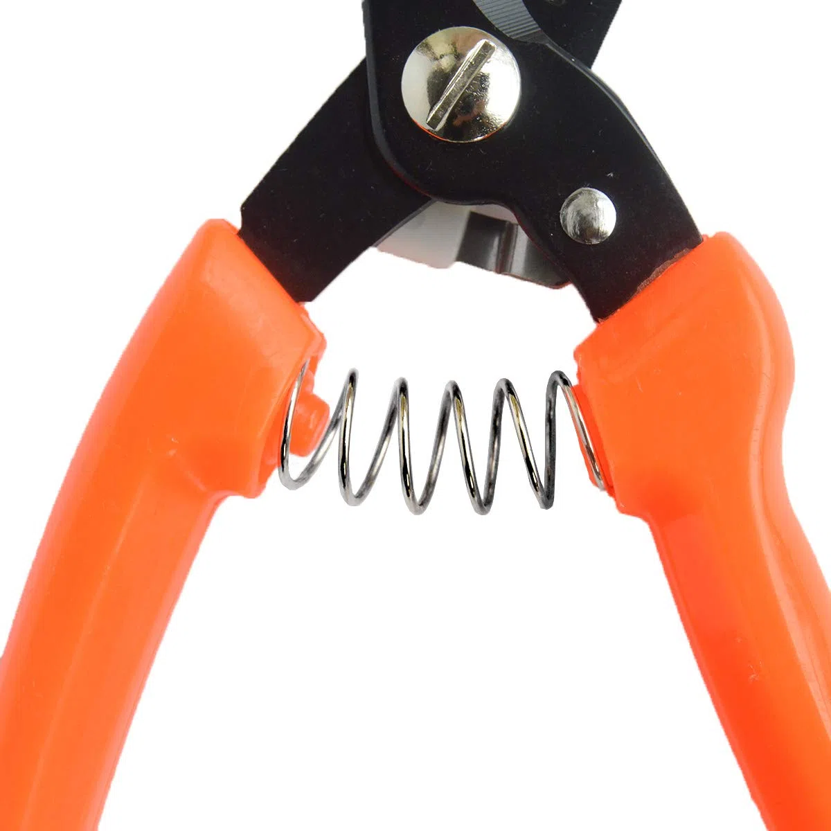 Pied Pourriture Cisailles Mouton Cheval Sabot Coupe Ciseaux Pied Rot Multi Usage en Acier Carbone Cisailles Jardin Sécateur 21 cm de long